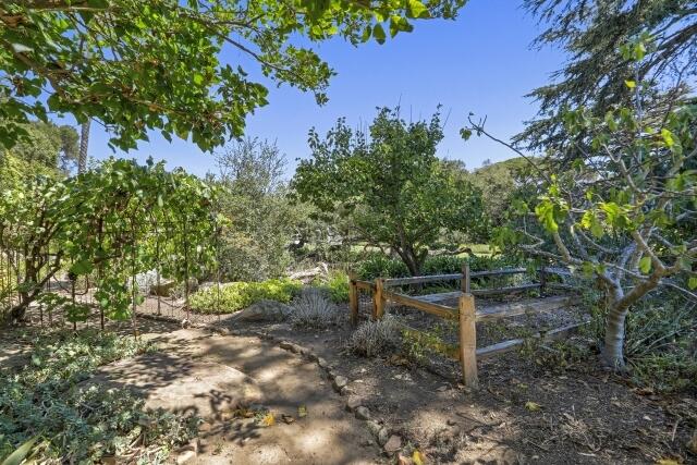 780 Mission Canyon Road Santa Barbara, CA 93105 - Photo 83 of 97 a view of a forest with a tree
