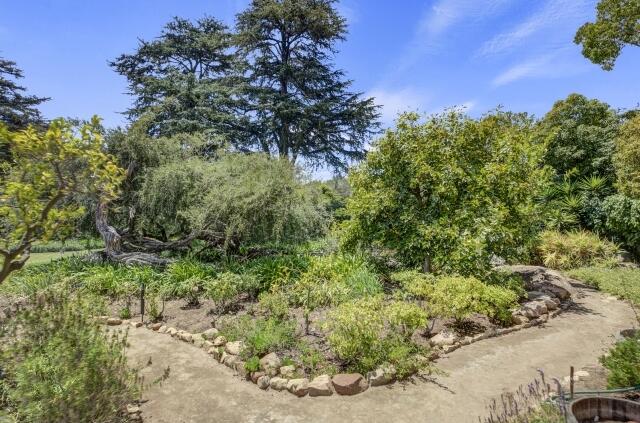 780 Mission Canyon Road Santa Barbara, CA 93105 - Photo 94 of 97 a view of a garden with plants and large trees