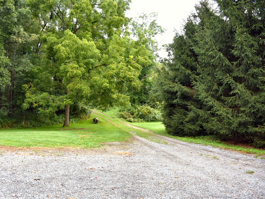 8494 Smith Road Meadville, PA 16335 - Photo 9 of 44