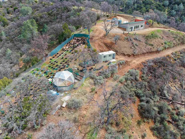 a view of outdoor space and yard