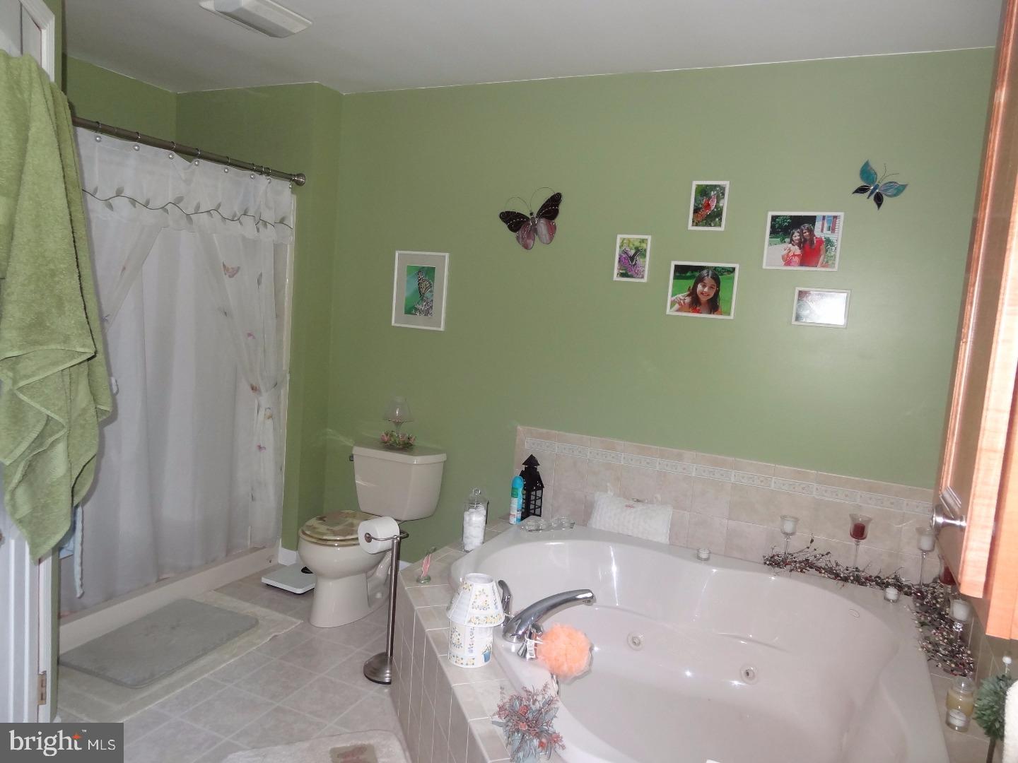 271 Pleasant Valley Road Pine Grove, PA 17963 - Photo 12 of 25 Master Bathroom