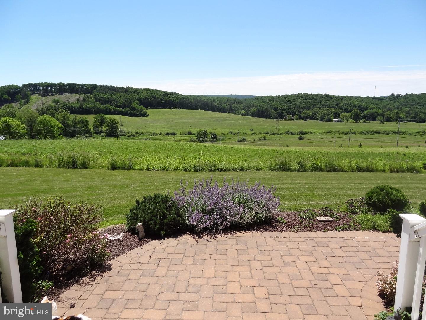 View from Front Door