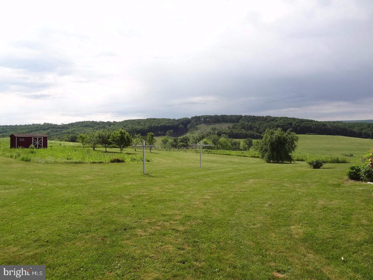 271 Pleasant Valley Road Pine Grove, PA 17963 - Photo 25 of 25 Side Yard