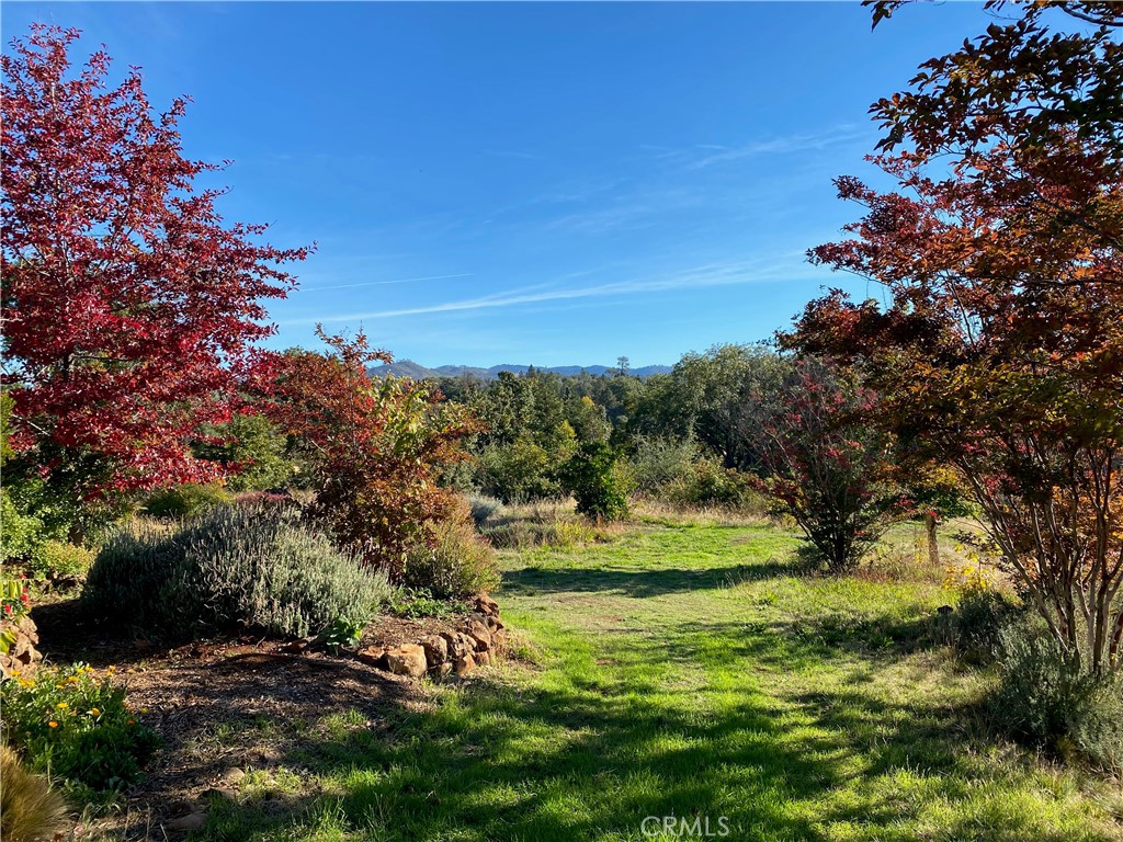 4820 Pentz Road Paradise, CA 95969 - Photo 1 of 1 View and trail to lower property