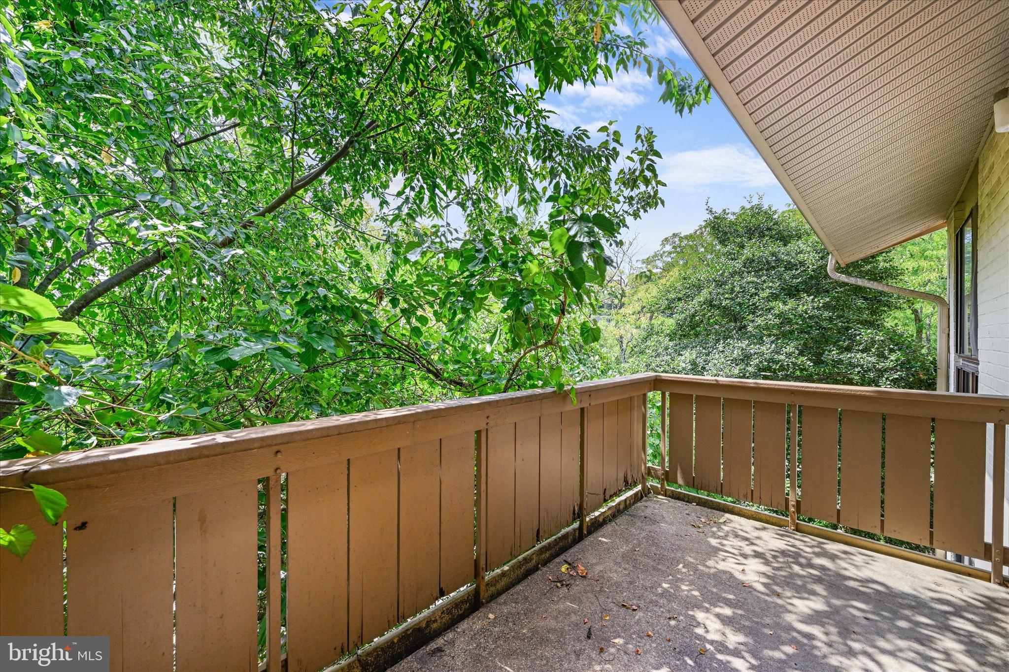 3 Hamill Road, Unit 3F Baltimore, MD 21210 - Photo 20 of 22