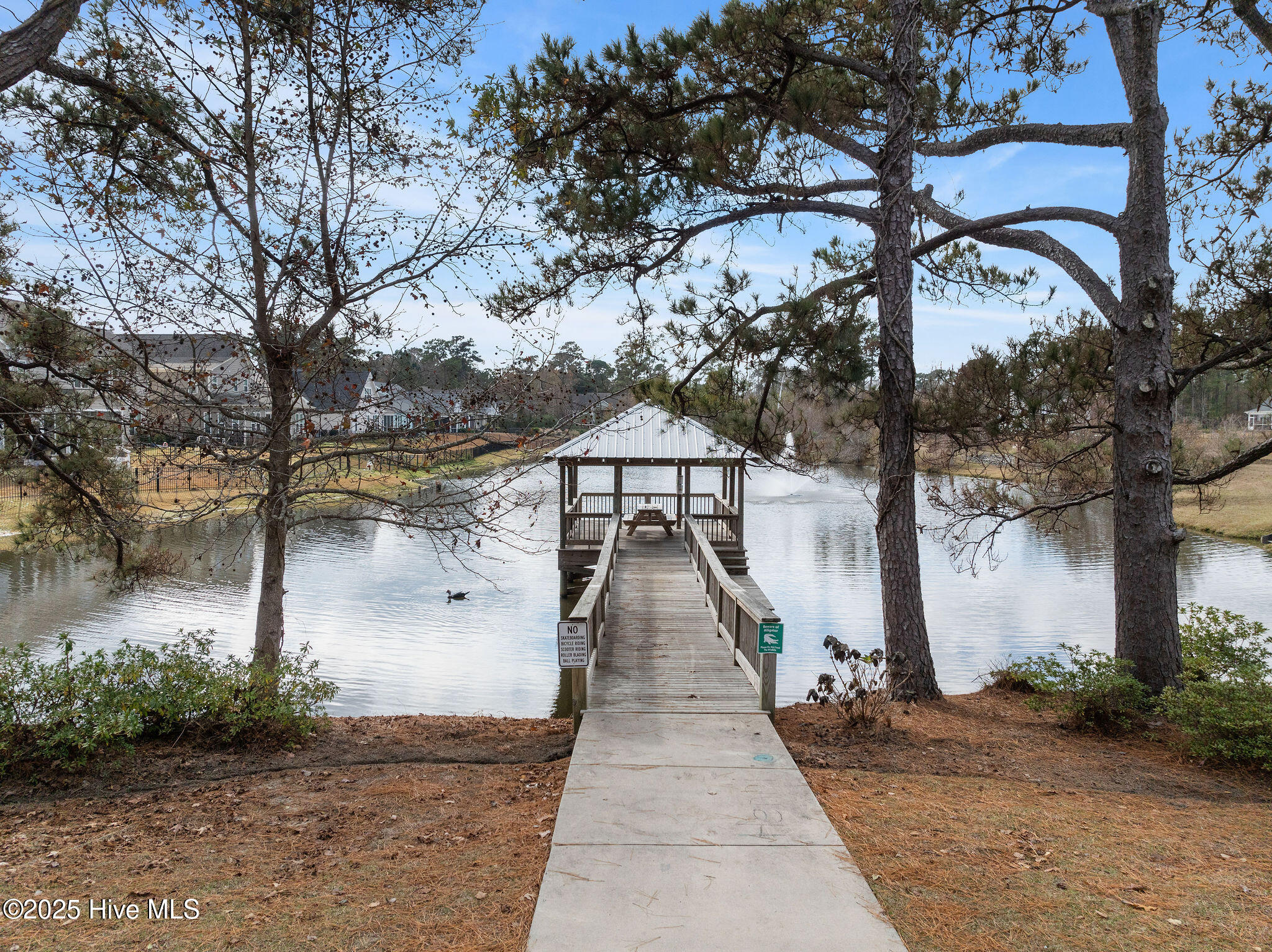 63 Evergreen Lane Hampstead, NC 28443 - Photo 63 of 66 63EvergreenLnAerials-21