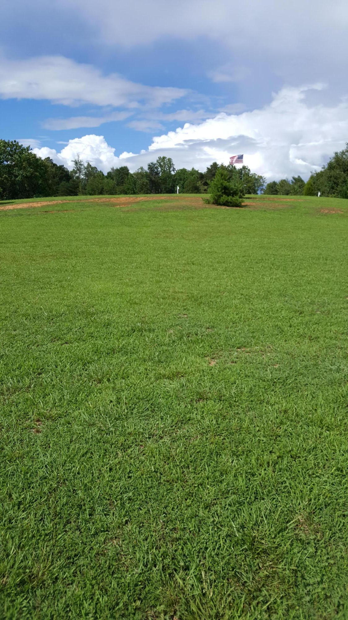 Lot 3 Co Road Niota, TN 37826 - Photo 3 of 3 20160810_162634
