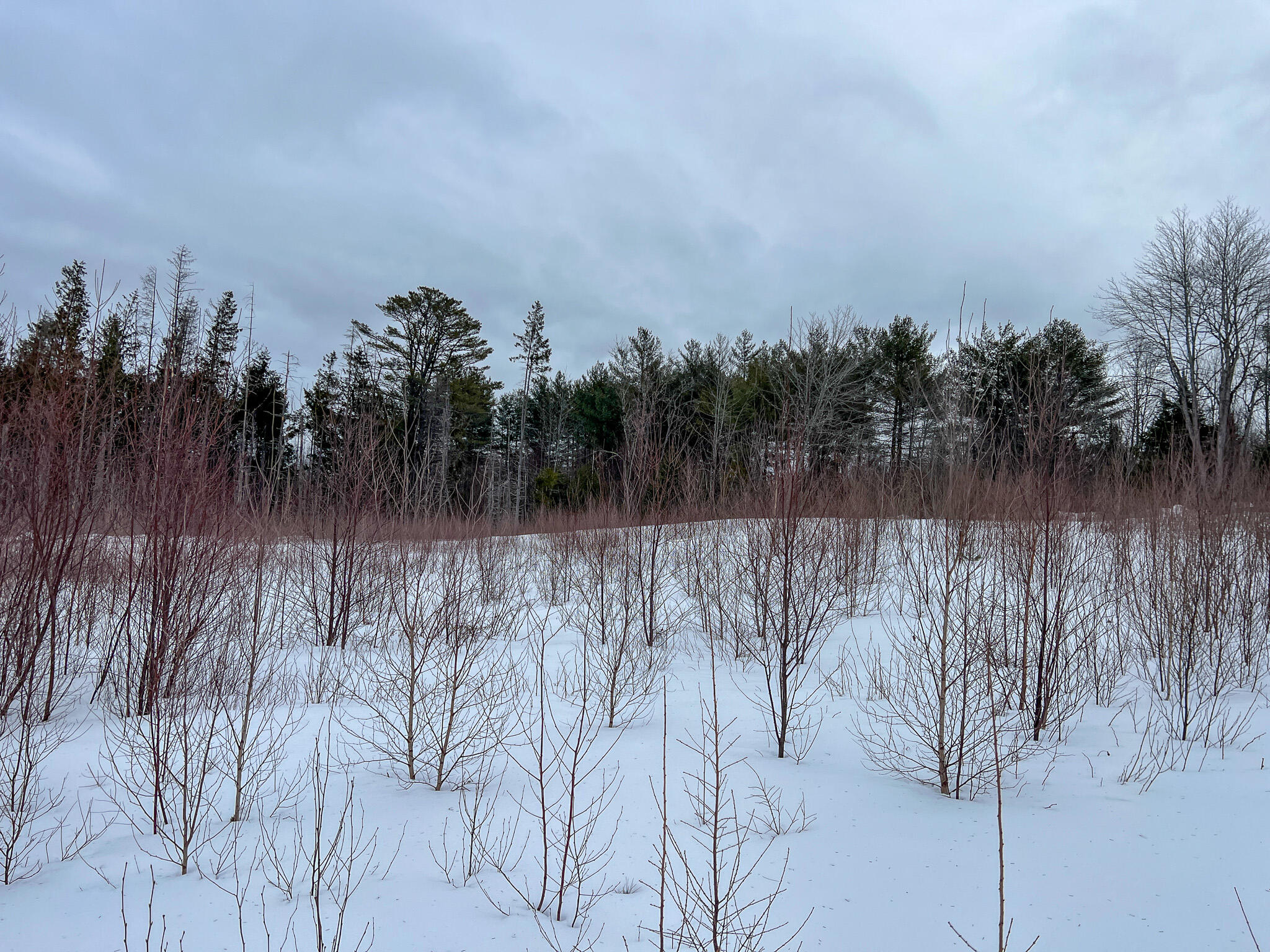L25 River Road Lagrange, ME 04453 - Photo 7 of 29 IMG_3967