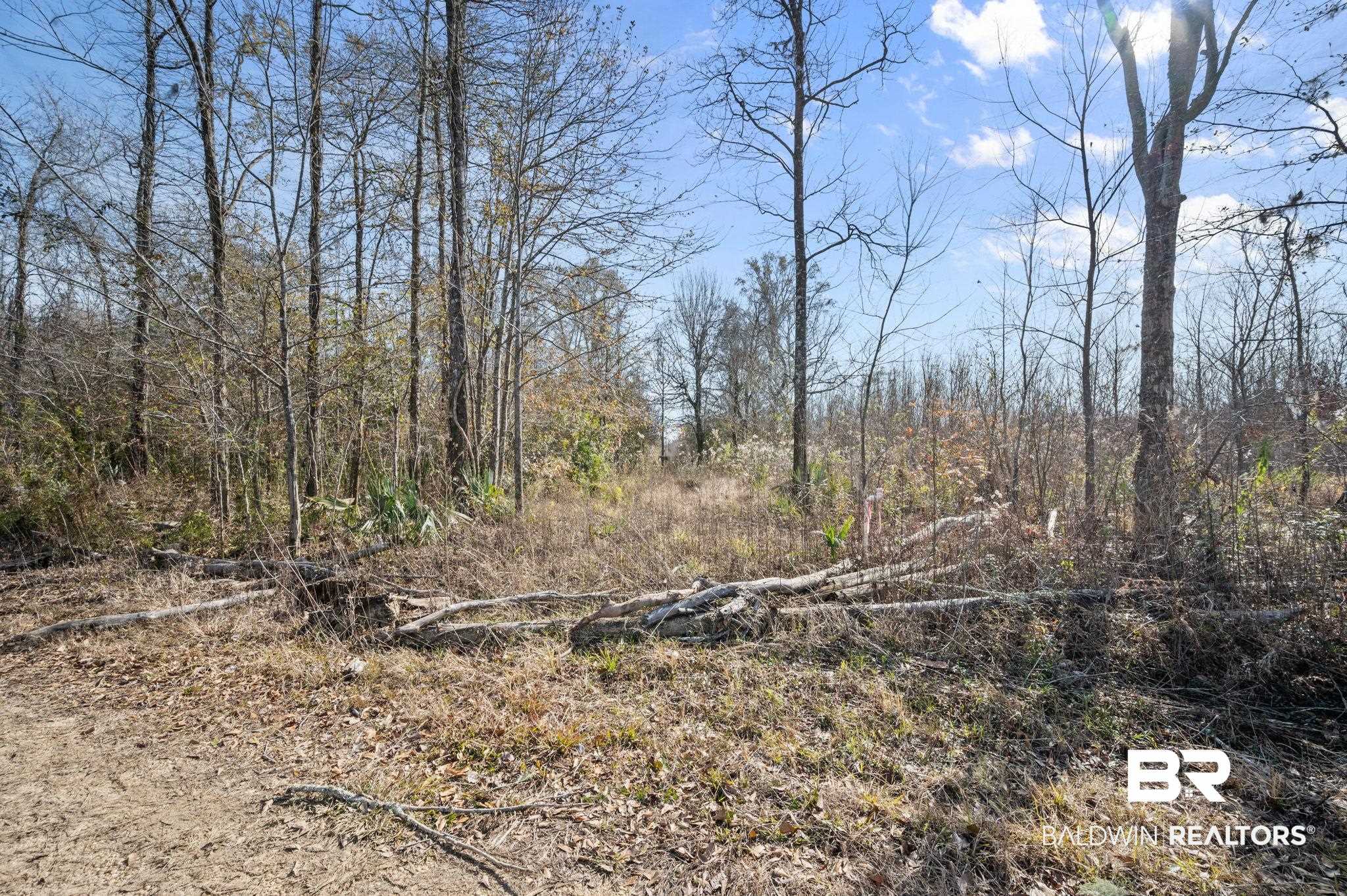 0 Bryant's Lndg Road Stockton, AL 36579 - Photo 2 of 29