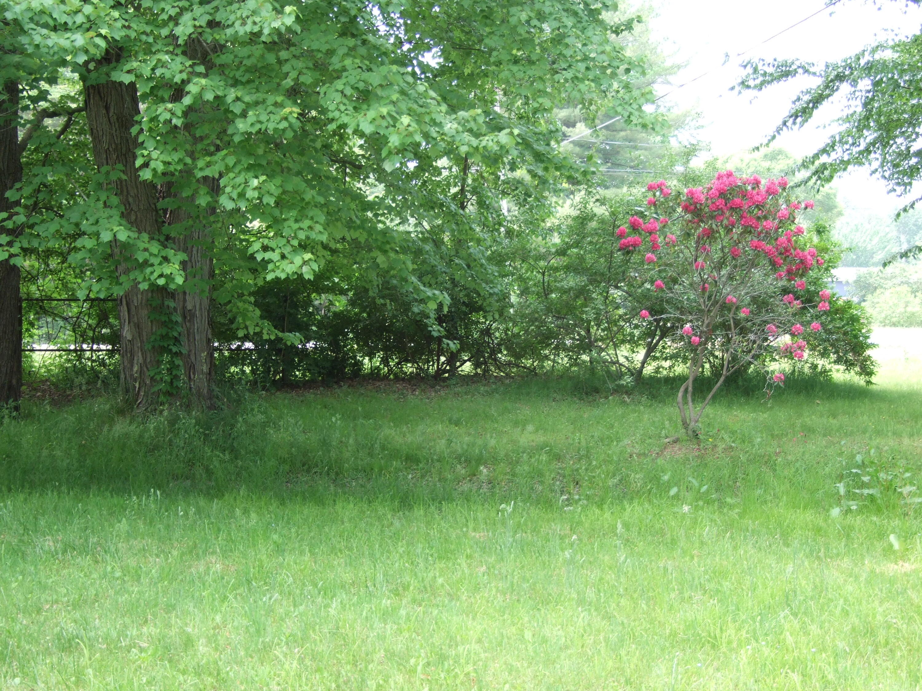 3837 East Sternberg Road Fruitport, MI 49415 - Photo 16 of 24 DSCF8208