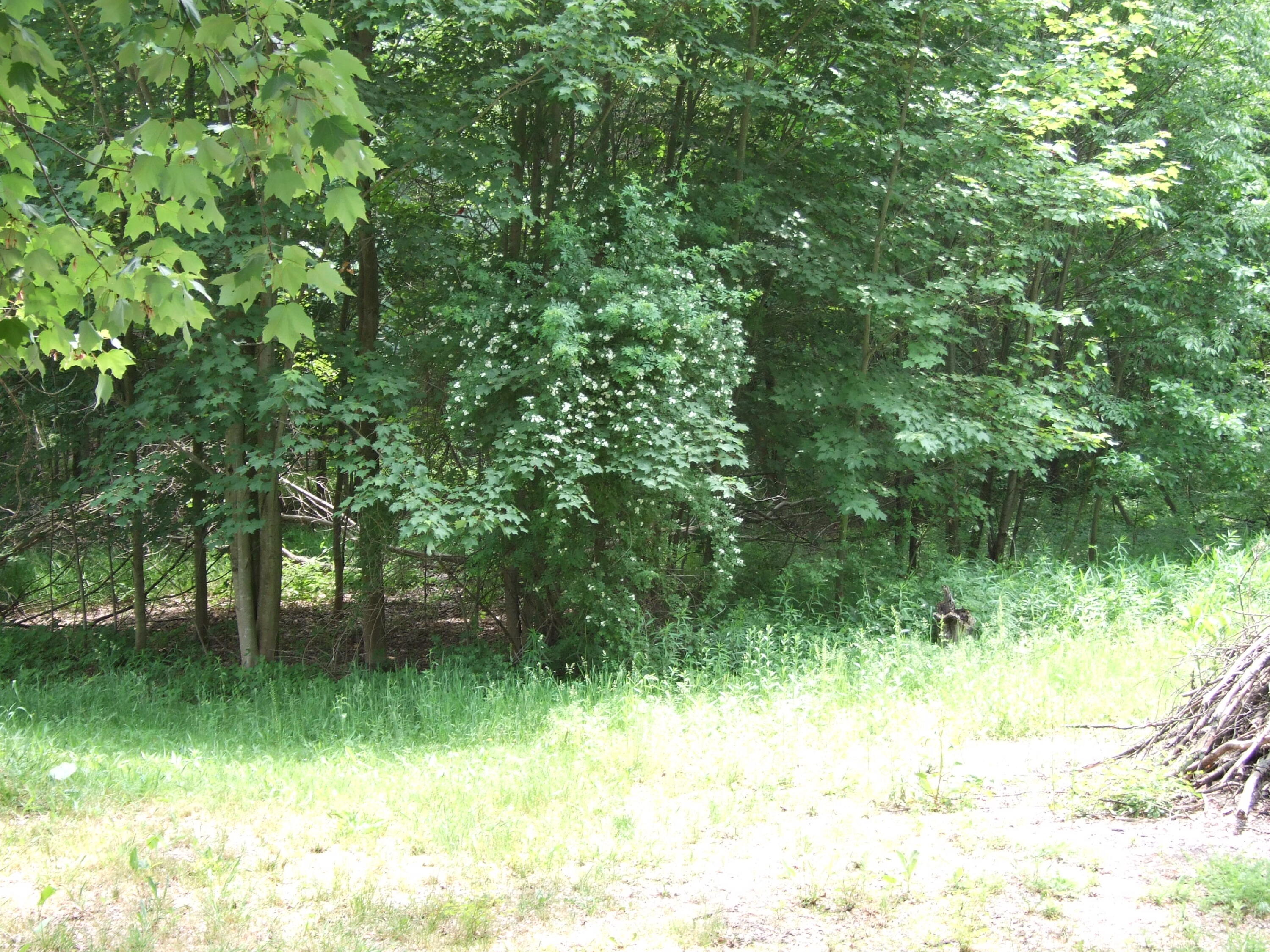 3837 East Sternberg Road Fruitport, MI 49415 - Photo 19 of 24 DSCF8212