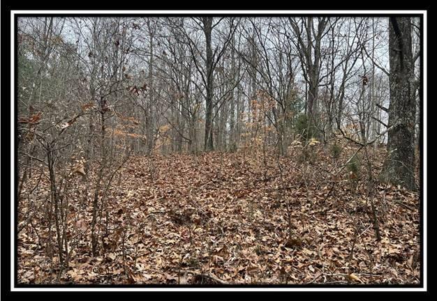 35887 Buck Run Road, Unit TRACT 7 Langsville, OH 45741 - Photo 22 of 37 image022