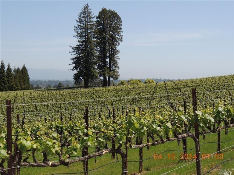 10145 Cherry Ridge Road Sebastopol, CA 95472 - Photo 1 of 1