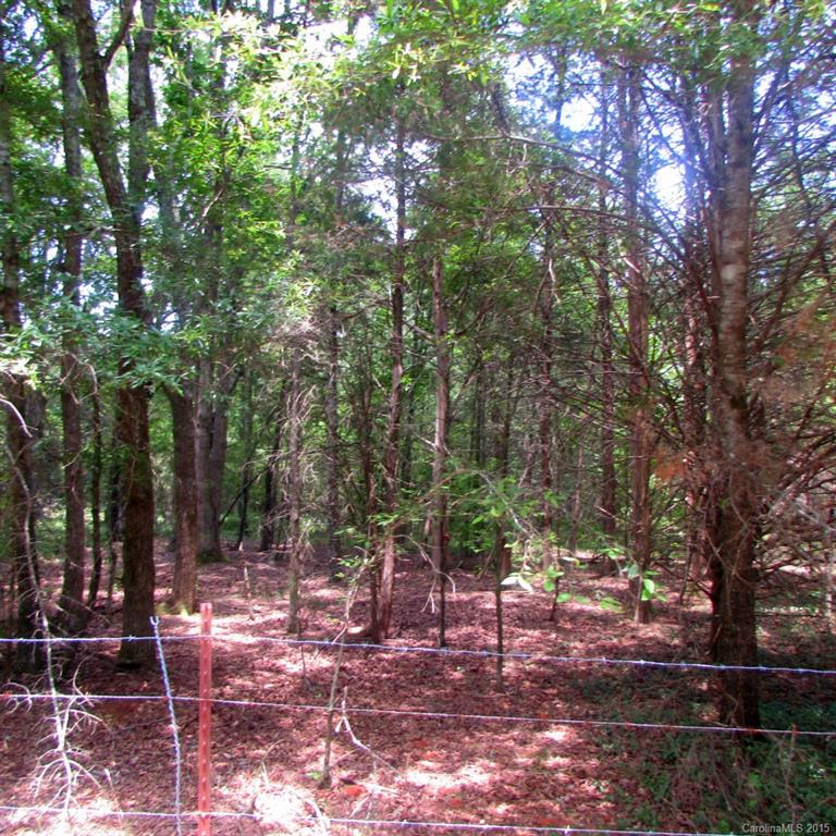 4 Faires Road Chester, SC 29706 - Photo 3 of 13 a view of backyard with green space