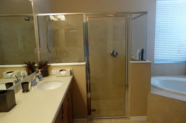 a bathroom with a sink a mirror and a shower