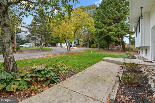 a view of a park with large trees