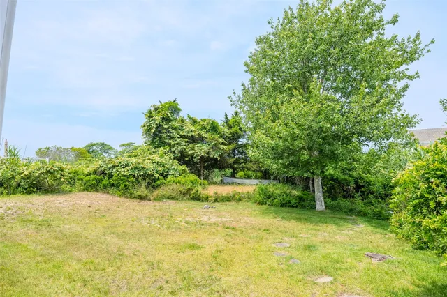 a view of a garden with plants