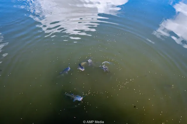 $940,000 | 12100 Highway 180, Hermleigh, TX 79526