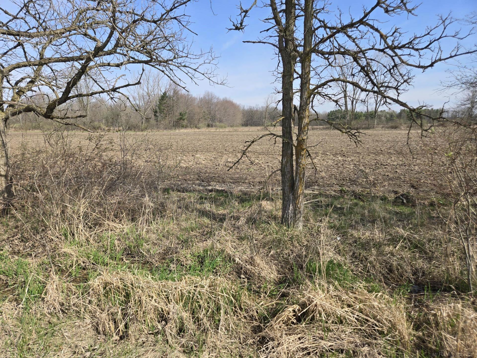 0 Weber (lot B) Road Columbus, MI 48063 - Photo 7 of 14