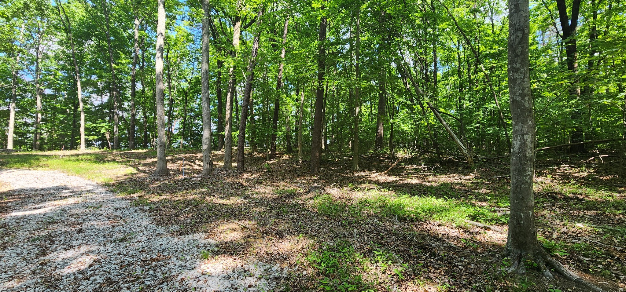 0 Roth Point Road Altamont, TN 37301 - Photo 47 of 49 a view of outdoor space with trees all around