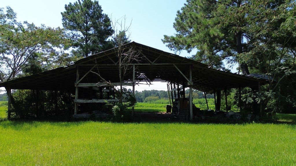 220 Dillon Road Thomasville, GA 31757 - Photo 11 of 56 Shed