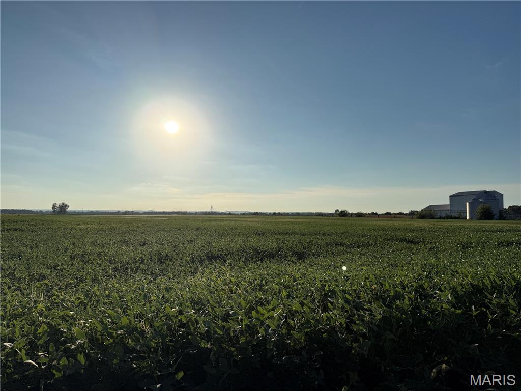 0 Bluff Road Valmeyer, IL 62295 - Photo 3 of 16 Gallery Image 3
