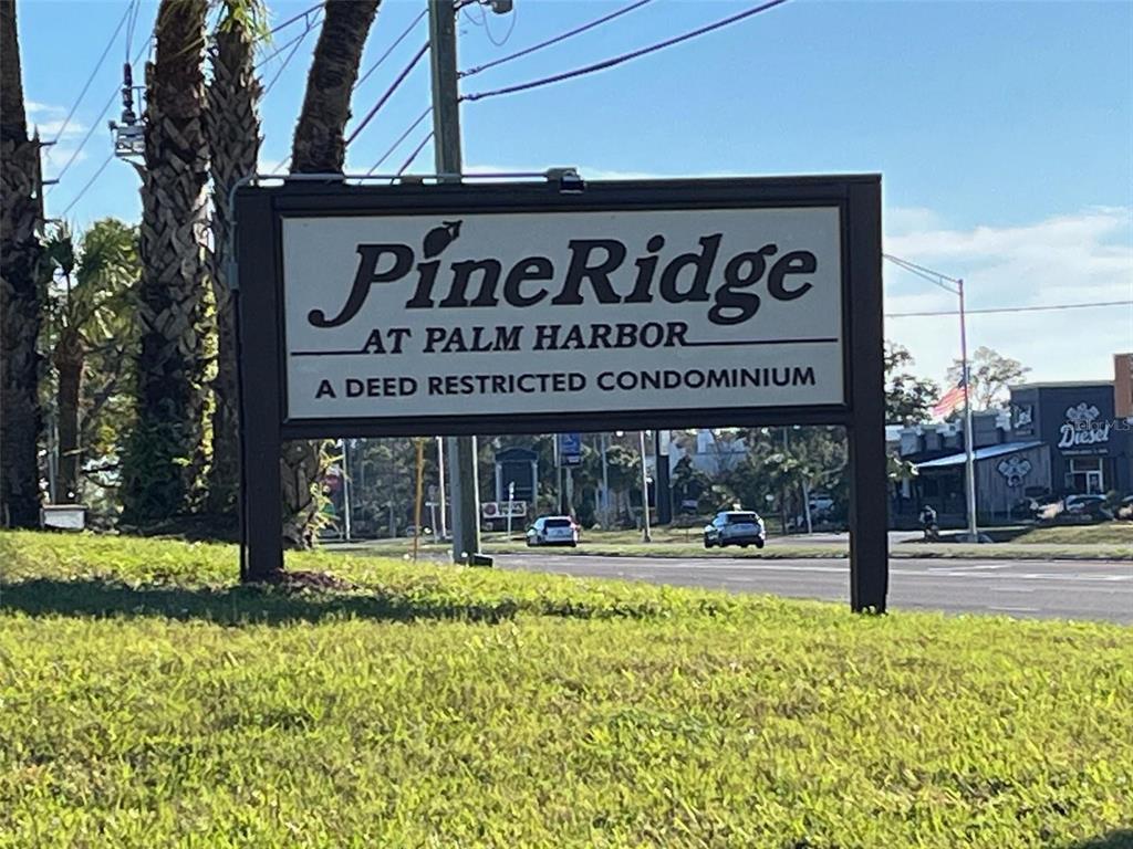 1725 Pine Ridge Way East, Unit C Palm Harbor, FL 34684 - Photo 28 of 28