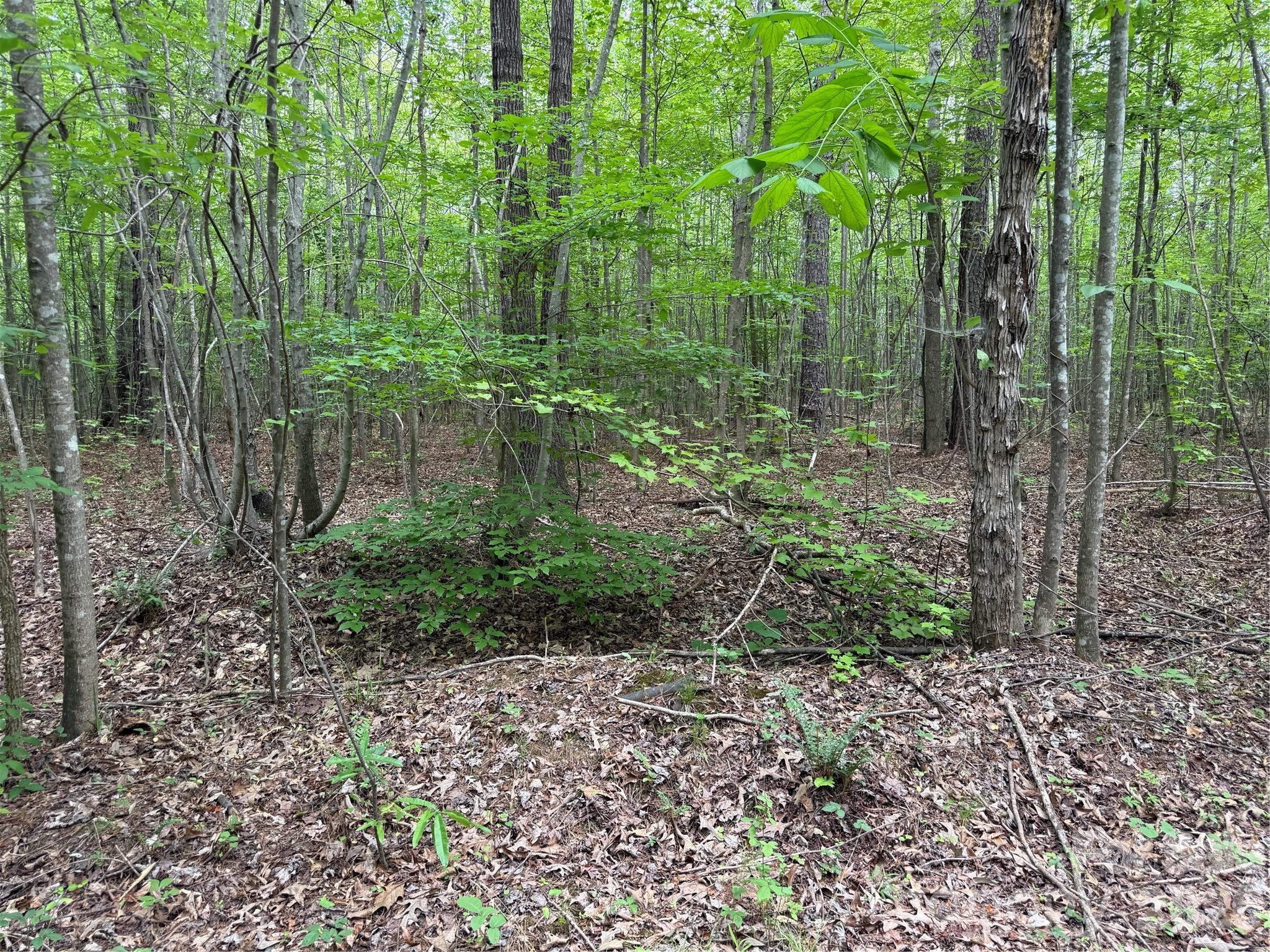 0 Herbert Faucette Road Bullock, NC 27507 - Photo 21 of 40