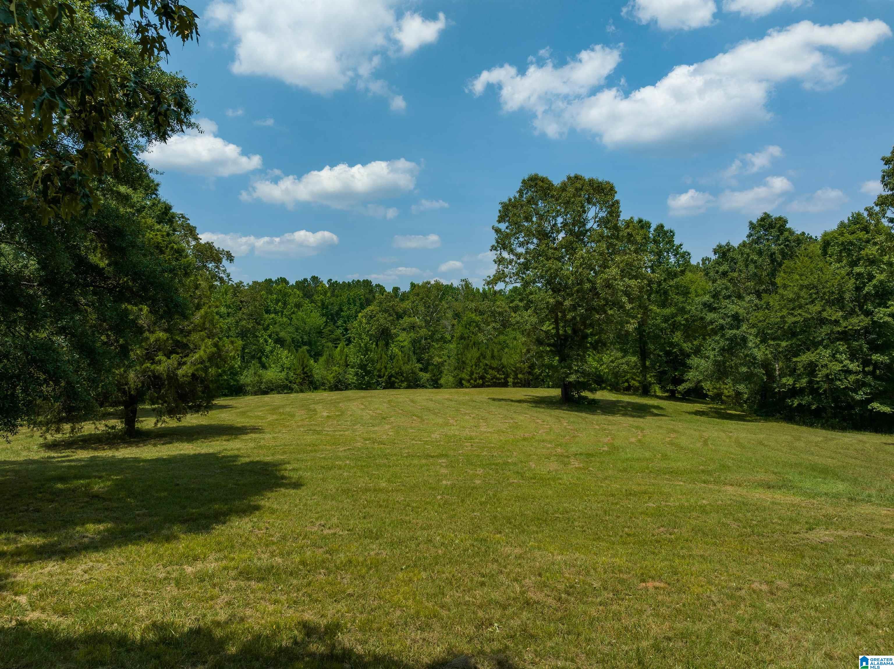 433 Yorkshire Road Columbiana, AL 35051 - Photo 34 of 50