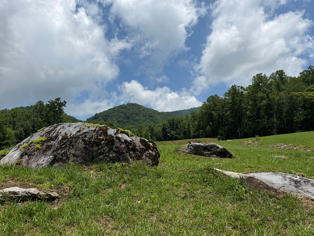 1446 Muskrat Creek Road Hayesville, NC 28904 - Photo 97 of 108