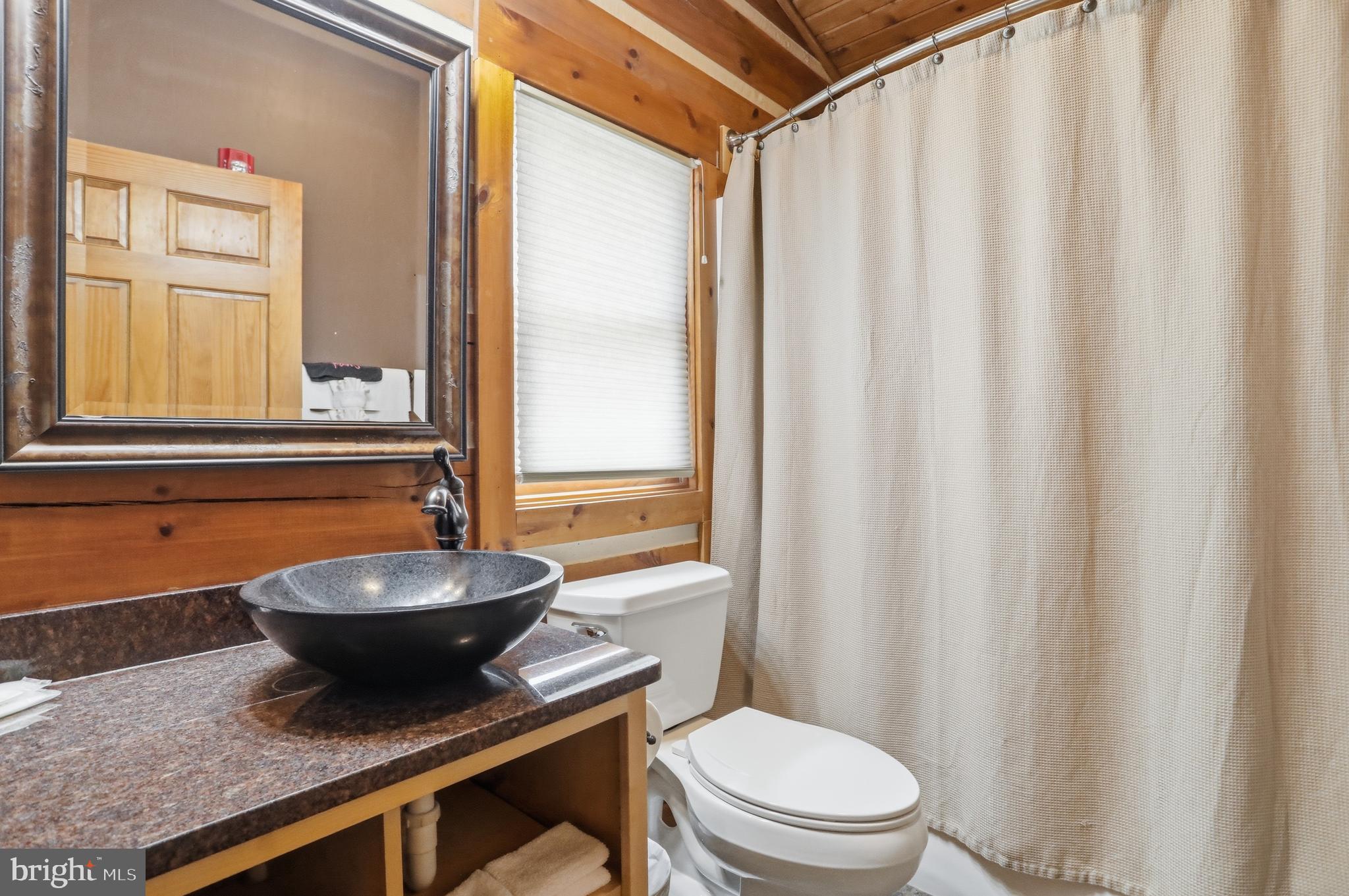 171 Cabin Lodge Road McHenry, MD 21541 - Photo 12 of 21