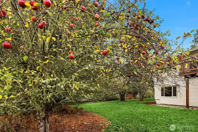 a view of a house with a tree