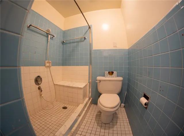 a bathroom with a toilet and a shower