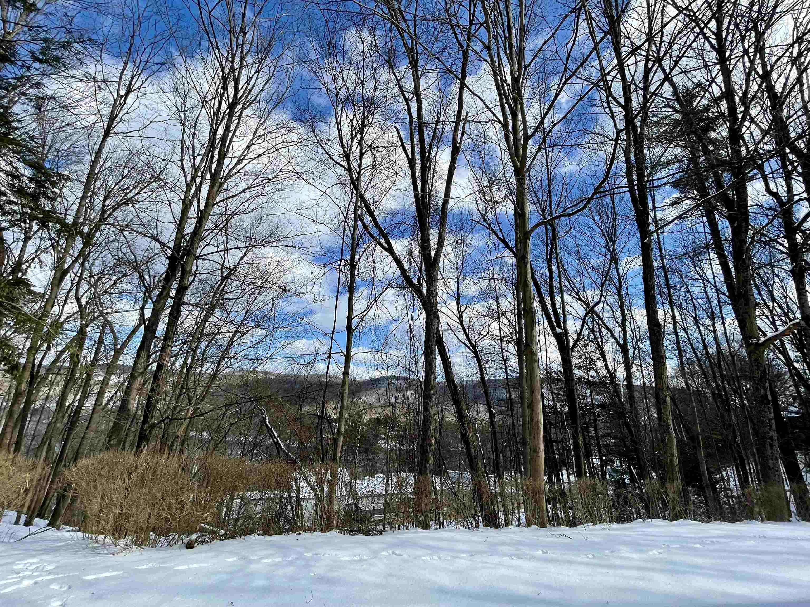 1 Colony Road Rockingham, VT 05101 - Photo 8 of 36