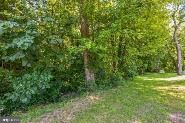 a view of a yard with a tree