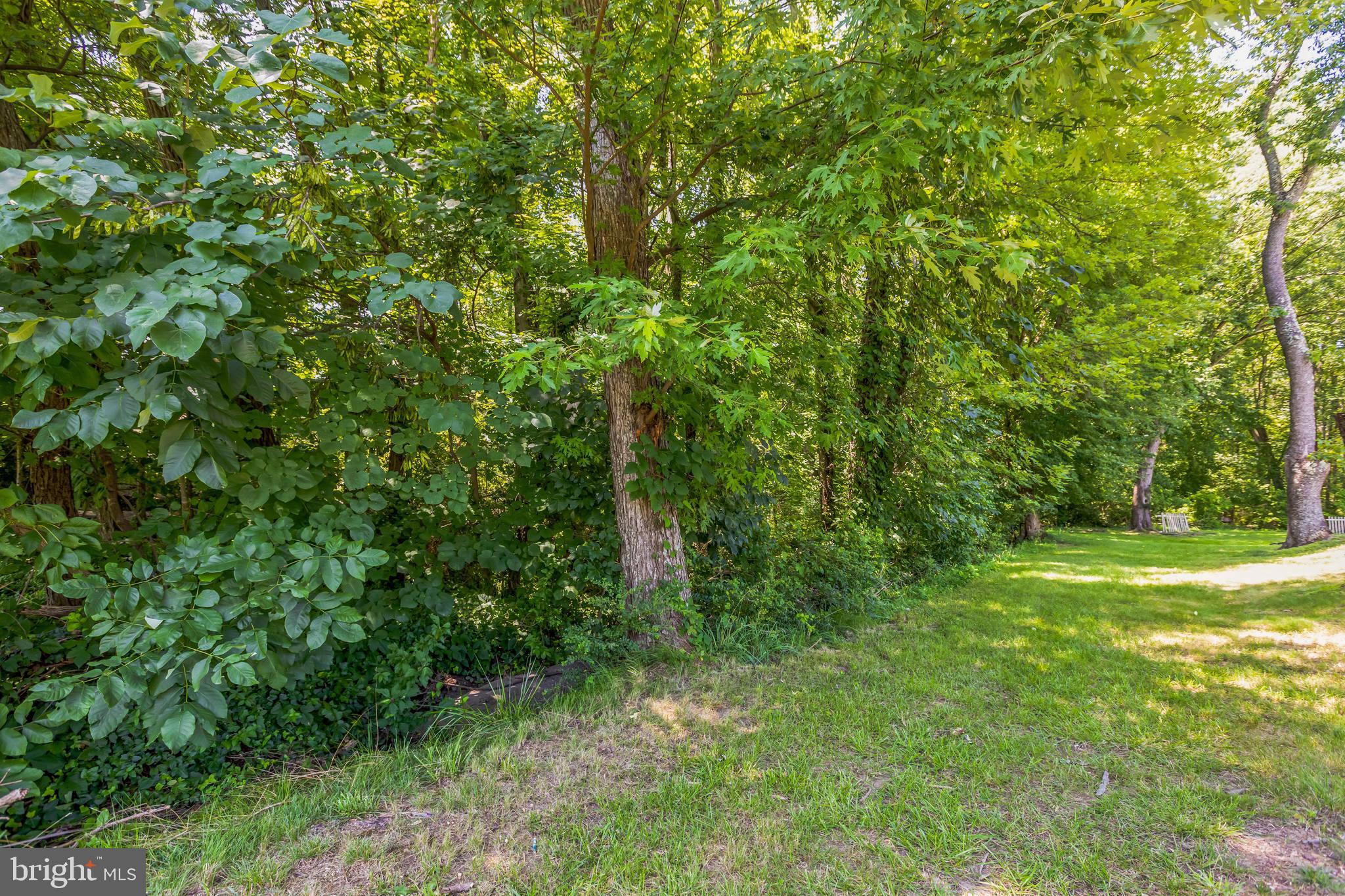 0 Allentown Road Fort Washington, MD 20744 - Photo 11 of 27 a view of a yard with a tree