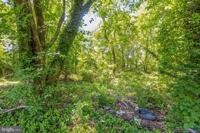 a backyard of a house with lots of plants