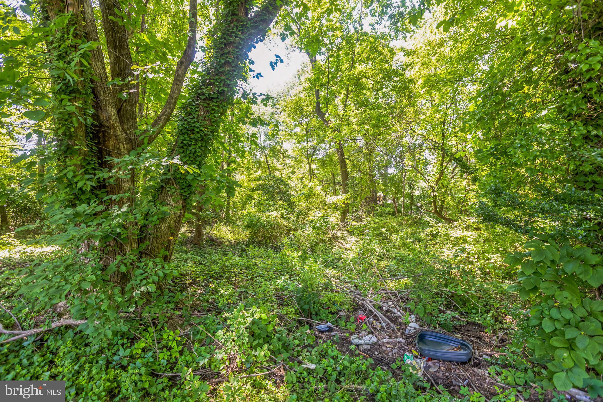 0 Allentown Road Fort Washington, MD 20744 - Photo 14 of 27 a backyard of a house with lots of plants