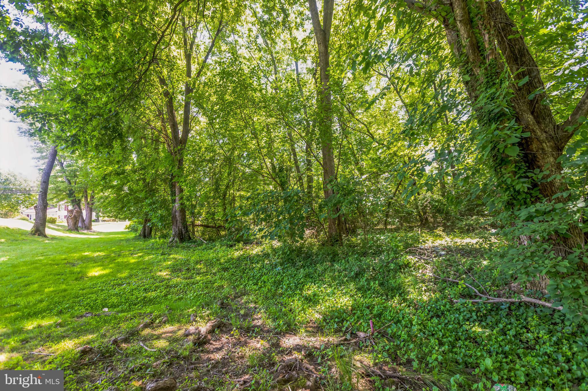 0 Allentown Road Fort Washington, MD 20744 - Photo 16 of 27 a view of a lush green space