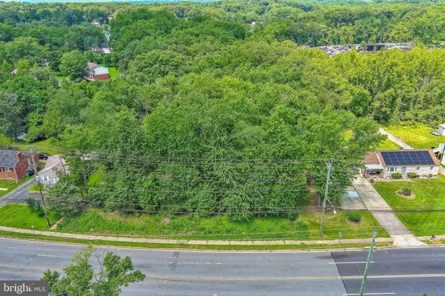 a view of a yard with plants