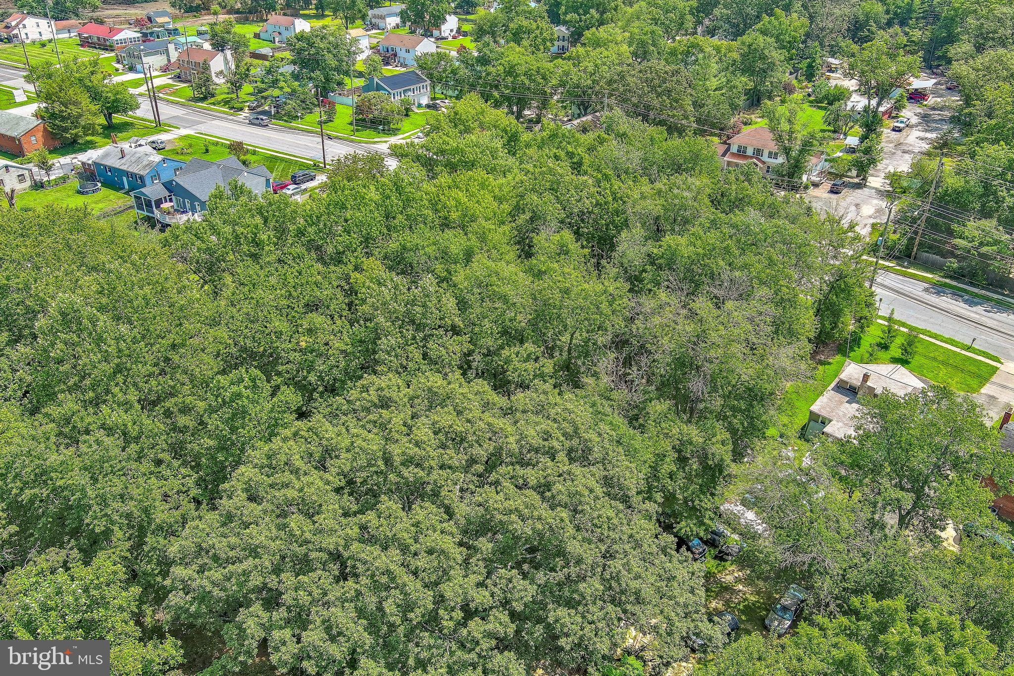 0 Allentown Road Fort Washington, MD 20744 - Photo 22 of 27 a view of a garden