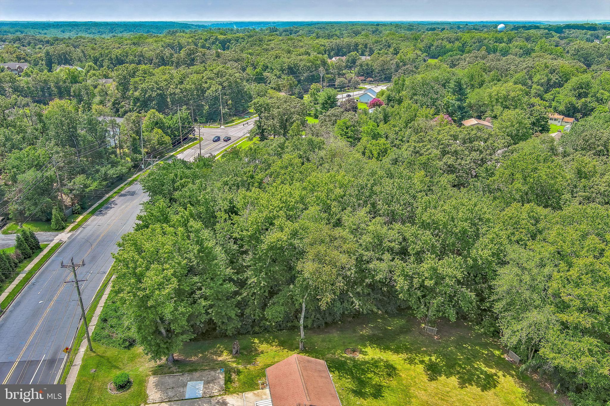 0 Allentown Road Fort Washington, MD 20744 - Photo 25 of 27 a view of a forest with a street