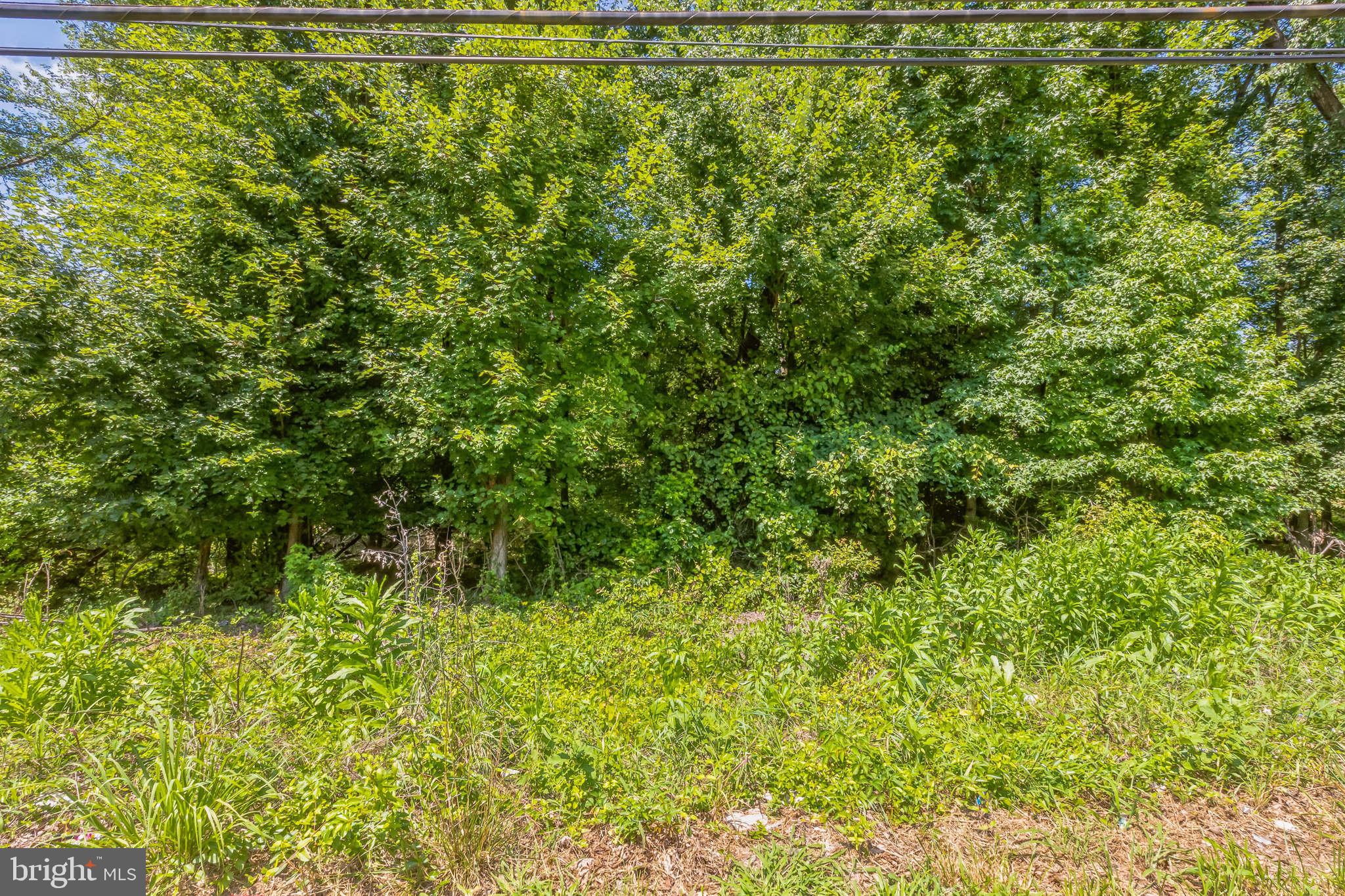 0 Allentown Road Fort Washington, MD 20744 - Photo 7 of 27 a view of a garden