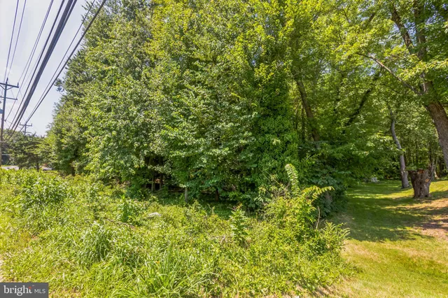 a view of yard with green space