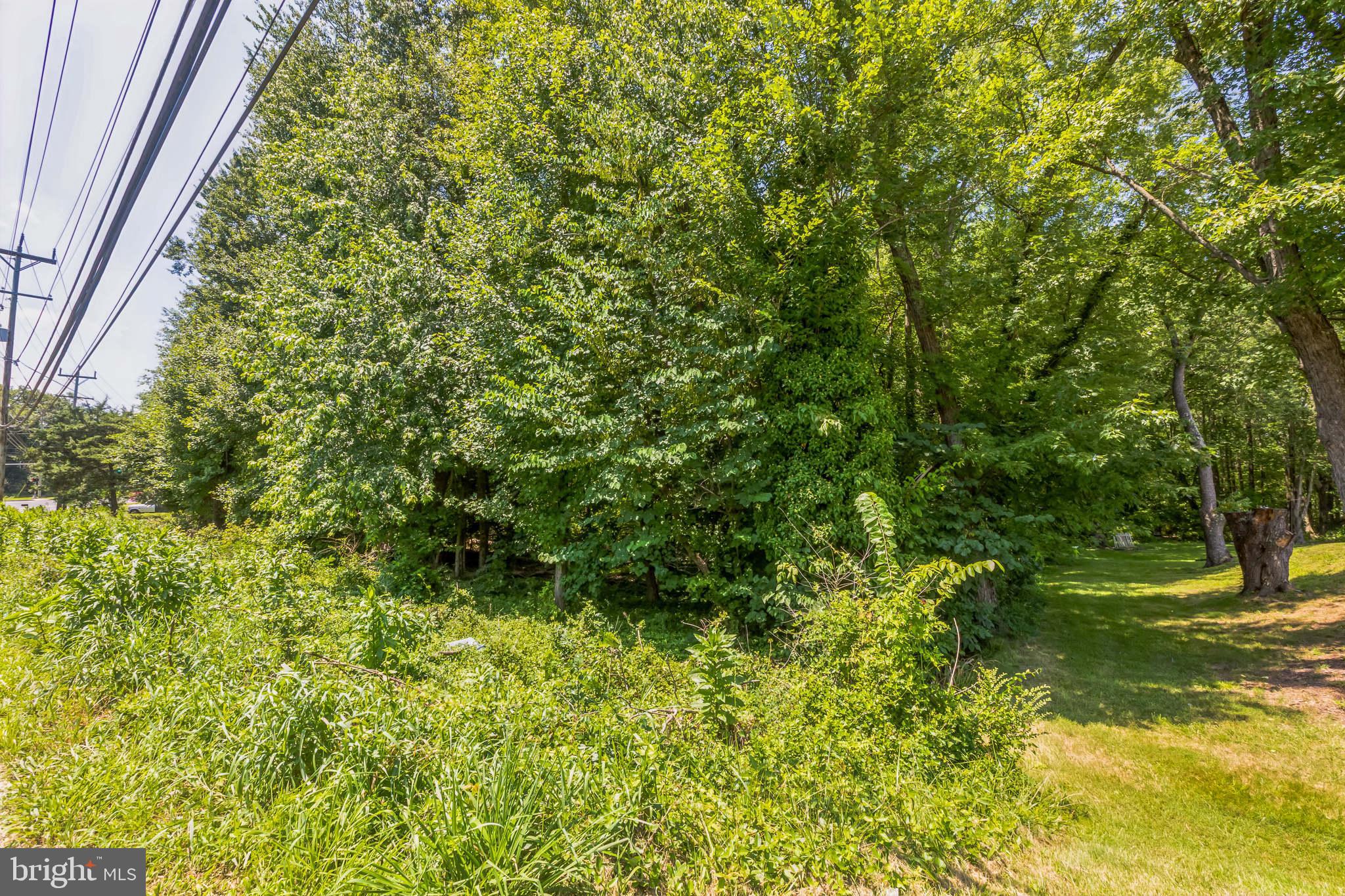 0 Allentown Road Fort Washington, MD 20744 - Photo 9 of 27 a view of yard with green space