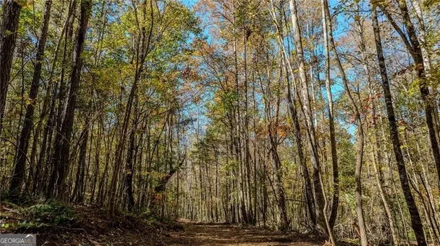 a view of house with yard