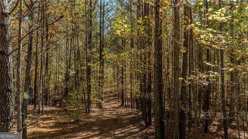 0 Jones Ferry Road, Unit 3 Palmetto, GA 30268 - Photo 4 of 5