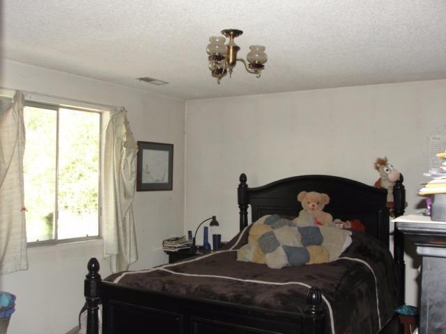 427 Red Blanket Road Prospect, OR 97536 - Photo 11 of 23 Additional Photo