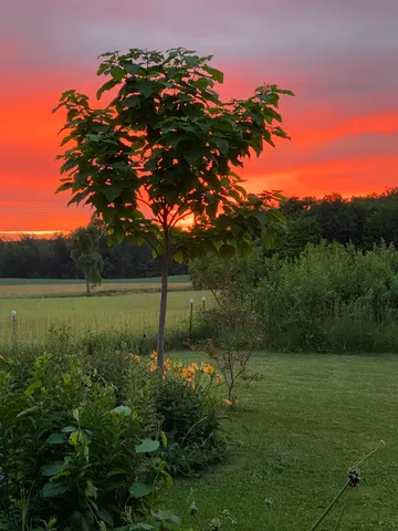 $299,500 | 9791 South Hillsdale Road, Hillsdale, MI 49242