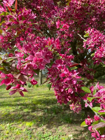 $299,500 | 9791 South Hillsdale Road, Hillsdale, MI 49242